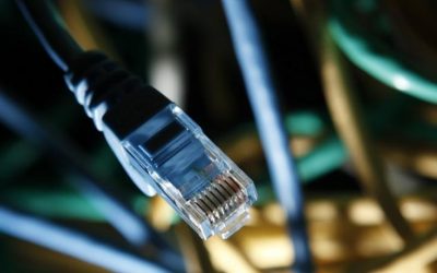 Severed cable sends Tonga ‘back to beginning of the internet’
