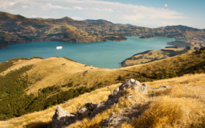 Environment Canterbury deploys Guardian for safety across the East Coast of New Zealand’s South Island